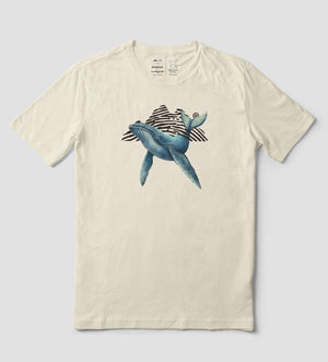 Ballena Jorobada
