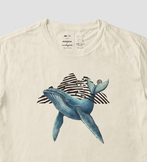 Ballena Jorobada