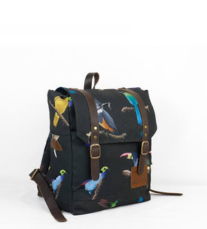 Mini Nómada Negra Aves de Colombia (Preventa)
