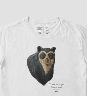 Oso de anteojos
