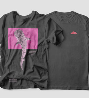 Tiburon Ballena Gris Rosa