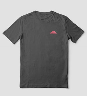 Tiburon Ballena Gris Rosa