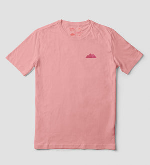 Tiburon Ballena Rosa