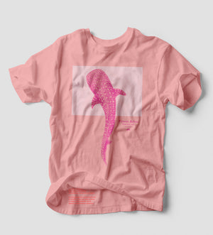 Tiburon Ballena Rosa