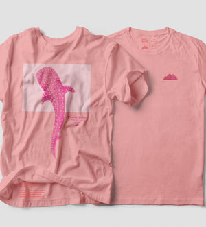 Tiburon Ballena Rosa