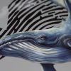Camiseta Ballena Jorobada Talla M - Imagen 4